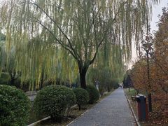 -元大都城垣遗址公园
