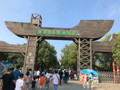 -溱湖国家湿地公园