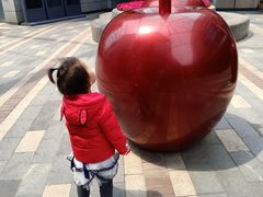 -鼎泰丰(嘉年华•海信广场VILLAGE店)