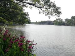 -江心屿景区