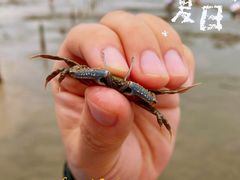 -奉贤海滩