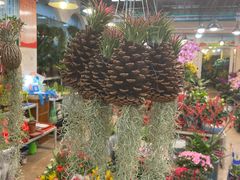 -双季花艺园艺市场(浦东店)