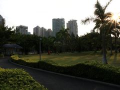 小路与凉亭-白鹭洲公园