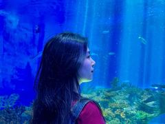 -沈阳海洋探索中心