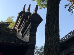 -天一阁博物院