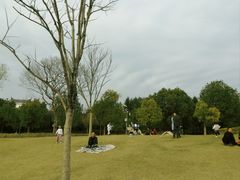 -牛岗山公园