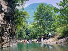 -重庆睡佛山森林公园