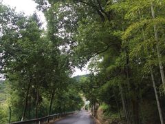 -天姥山