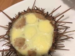 -海胆小馆(东北水饺·春柳店)