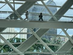 -凤凰中心