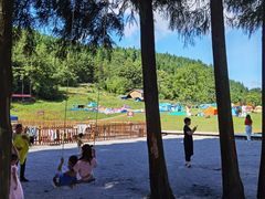 -武陵山森林公园