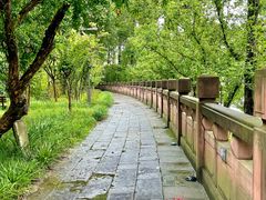 -望江楼公园