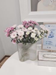 -YESIDO椰岛美容