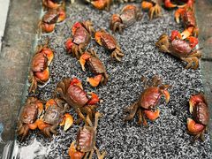 -青石桥花鸟鱼虫市场(叠翠城店)