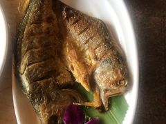 -龙泉人椰子鸡.糟粕醋.海南菜(三亚旗舰店)