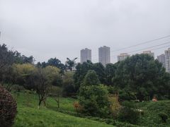 -龙头寺公园