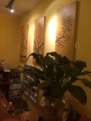 -FineYoga梵音瑜伽·普拉提