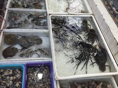 -拉威海鲜市场