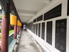 -中国翰园碑林