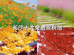 -洋湖国家湿地公园