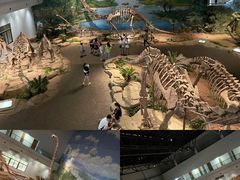 -自贡恐龙博物馆