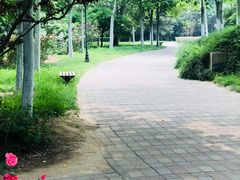 景点-金星公园