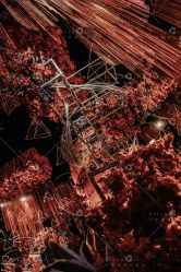 -三色锦婚礼定制