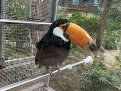 -南宫五洲植物乐园