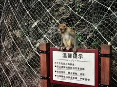 -黔灵山公园