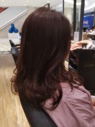 -Mentor Hair Salon