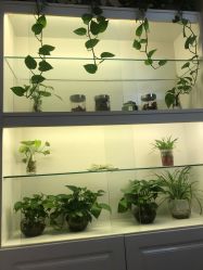 -诗媛嘉美健康管理中心(金桥店)