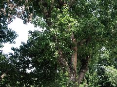 -长白岛森林公园