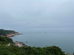 -广东惠东海龟国家级自然保护区