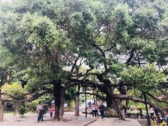-小洲村