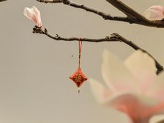 -锦初·禅意4K影院式足道·新中式SPA(茂业天地店)