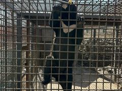 -水上乐园·欢乐世界