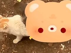-昆明动物园