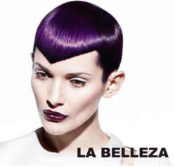 Schwarzkopf2013新季风-LA BELLEZA倍丽莎美发沙龙