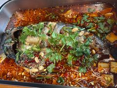 -百好乐宠物友好餐厅(朝外大街店)