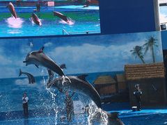 -石林冰雪海洋世界