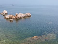 -养马岛旅游度假区