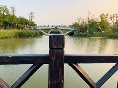 -上海长兴岛郊野公园