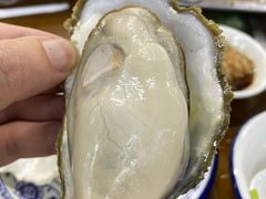 原只蒸生蚝-蚝得喜海鲜(东城店)