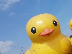 -菊园百果园