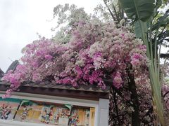 -深圳国际园林花卉博览园