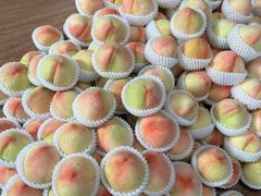 -南汇新场正宗水蜜桃采摘