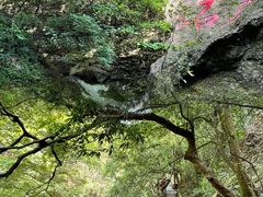 -周洛大峡谷