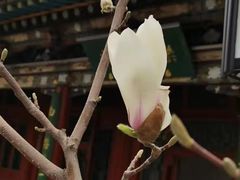 -迎泽公园