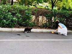 -白塘生态植物园
