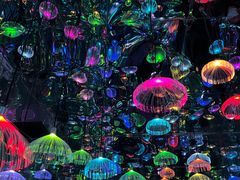 -上海梵高星空艺术馆(南京路旗舰店)